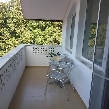 Albatros Guest house